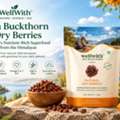 INR 1,  Buy Organic Dry Sea Buckthorn Berries Online In India | WellWith