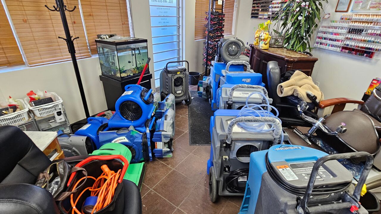 Calgary, Cleaning, Comprehensive Mold Removal Services For Healthier Calgary Properties