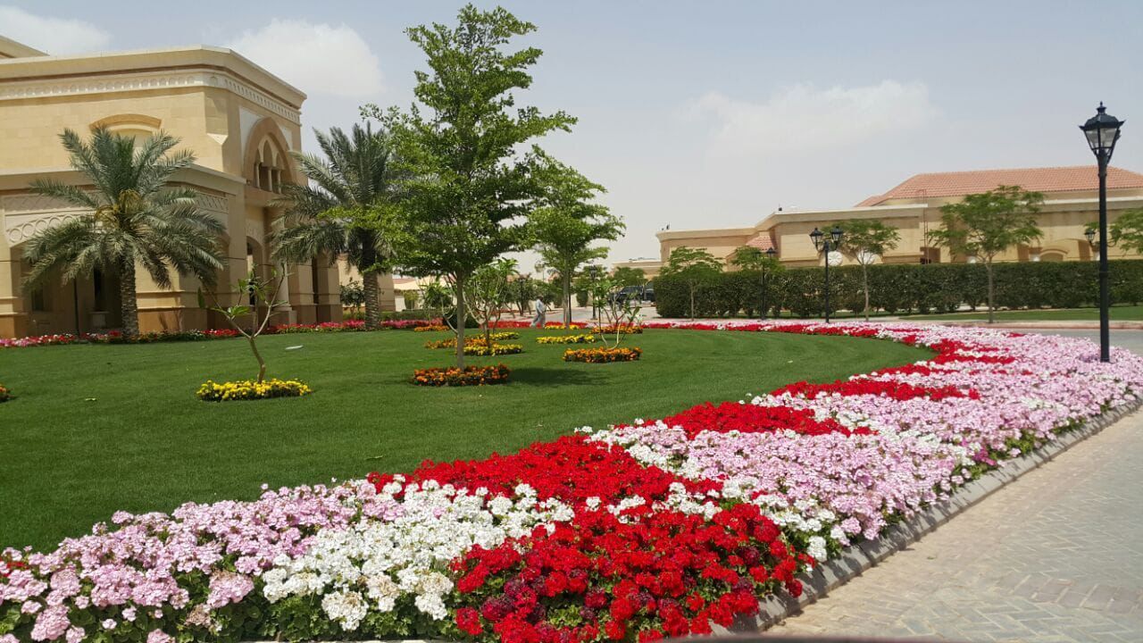 Riyadh, Farm/Garden, Garden & Landscape, Renovation & Maintenance, Swimming Pool Services - تنسيق حدائق