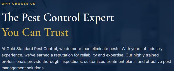 New York, Pest Control, Sugar Land Pest Control Services For Your Home And Business