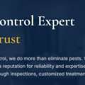 Sugar Land Pest Control Services For Your Home And Business