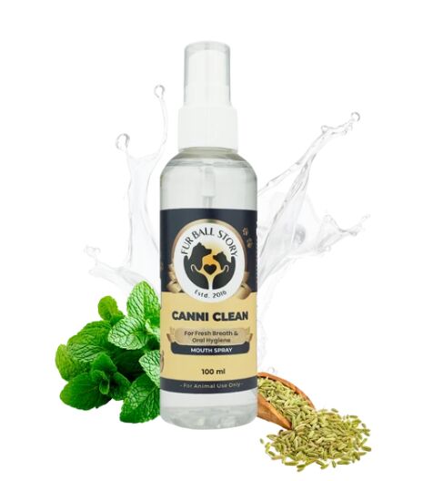 Mumbai, Pet Supplies, INR 299,  Cat Oral Hygiene Spray