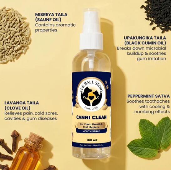 Mumbai, Pet Supplies, INR 299,  Cat Oral Hygiene Spray