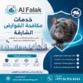 خدمات موثوقة لمكافحة القوارض في الشارقة م