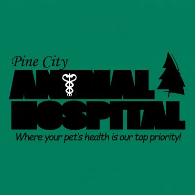 New York, Health, Pine City Animal Hospital