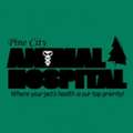Pine City Animal Hospital
