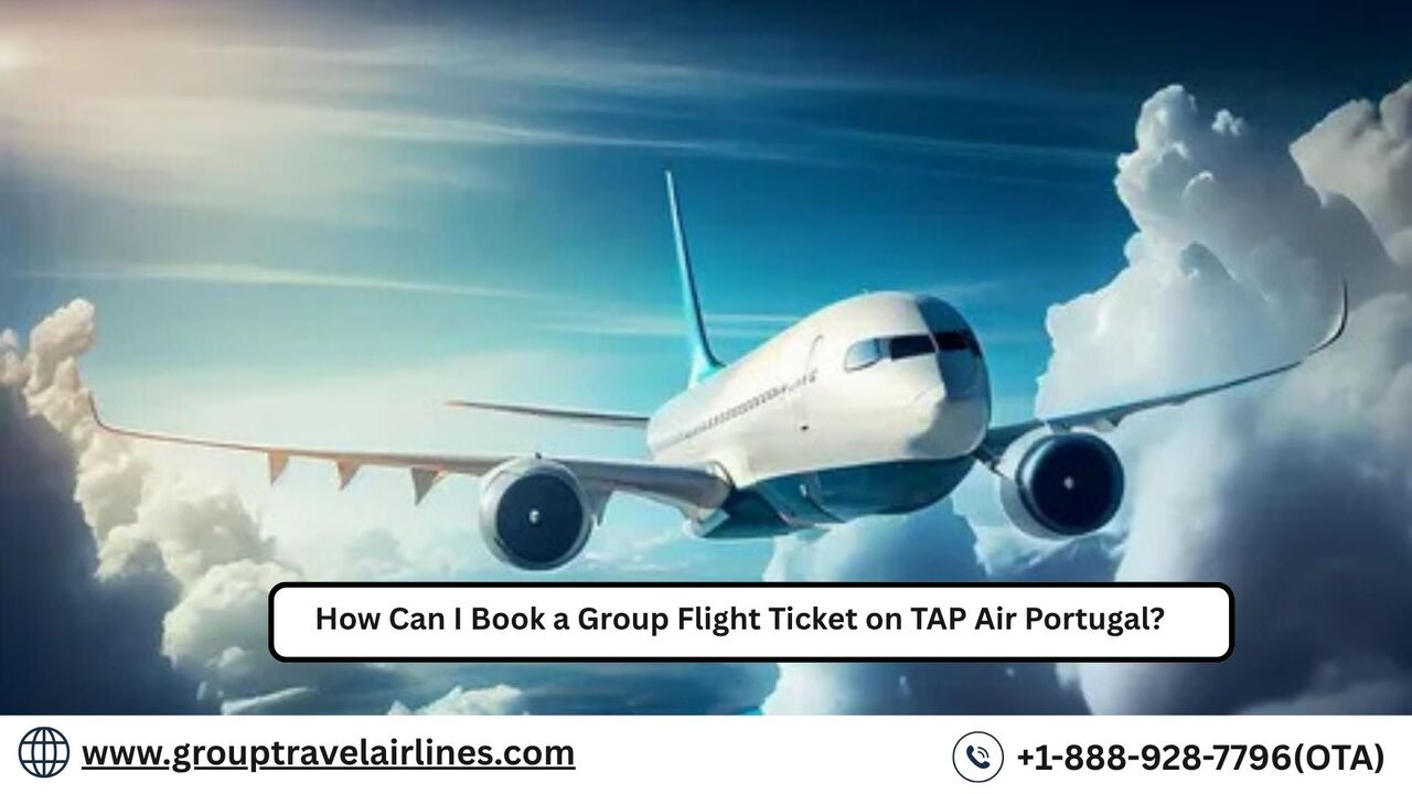 Los Angeles, Travel, How Can I Book A Group Flight Ticket On TAP Air Portugal?