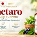 Vinetaro 2026: Honest Reviews, Features, Benefits & User Experiences