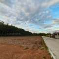 THB 5000,  7200 Sq. Feet,  ปล่อยเช่าที่ดินทำเลศักยภาพ 18 ไร่ อ.ห