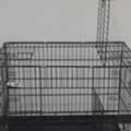 SAR 180, Cat/Dog House/cage Big Size