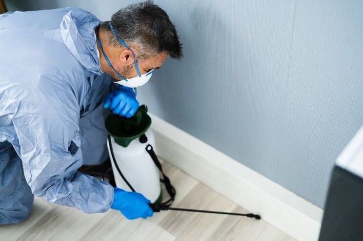 Karachi, Pest Control, Bug Service