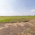 THB 7000000,  6 BR,  8000 Sq. Feet,  ขายที่ดินเปล่า (ปัจจุบันเป็นที่น