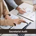 Secretarial Audit Services