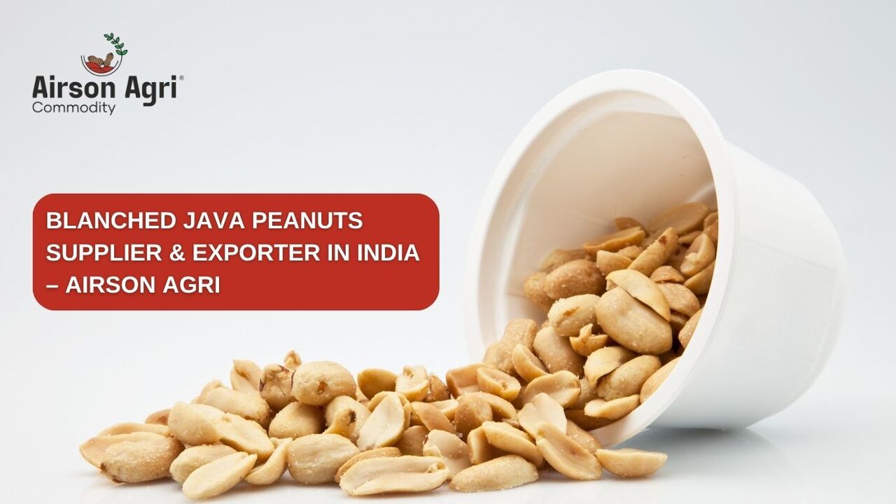 Mumbai, Food, Blanched Java Peanuts Supplier & Exporter In India | Airson Agri