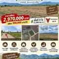 THB 2970000,  6 BR,  1200 Sq. Feet,  ที่ดิน วังไทร ปากช่อง ใกล้ เขาใหญ่ 