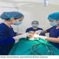 Dental Diploma Courses In India