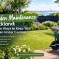 How Often Should You Book Garden Maintenance Auckland Services?