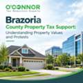 Brazoria County Property Tax Support: Understanding Property Values And Protests