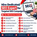 Hire Dedicated SEO Expert For Organic Traffic Growth
