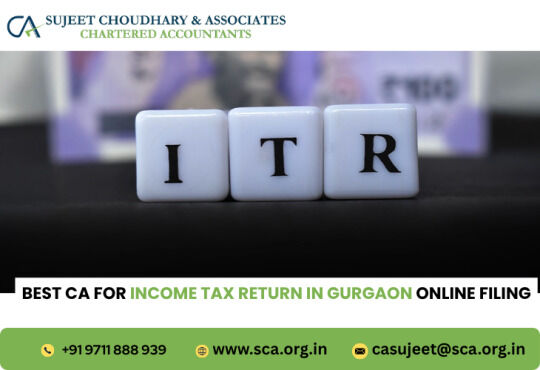Gurgaon, Accounting, Best CA For Income Tax Return In Gurgaon Online Filing
