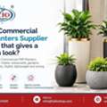 Which Commercial FRP Planters Supplier In Delhi That Gives A Modern Look?
