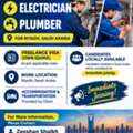 Electrician & Plumber (Freelance Visa)
