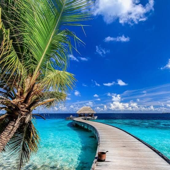 Male, Travel, Enticing Maldives With Embudu Village
