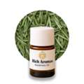 High-Quality Rosemary Oil For Fragrance, Wellness & Personal Care | Rich Aromas