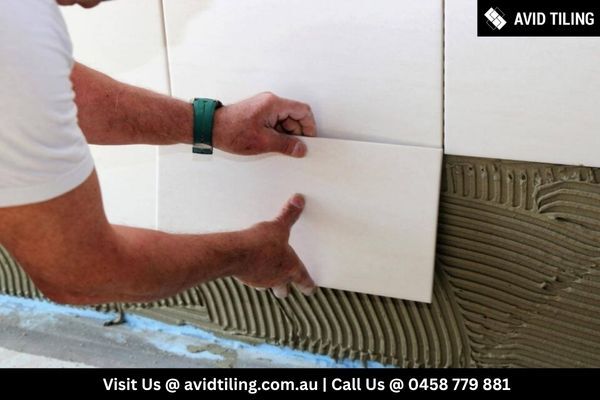 Sydney, Business, Wall Tiling Services | Avid Tiling