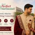 Elite Matrimonial Services In Chandigarh