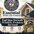 Essential Wildlife Control Ends Your Norwalk Wildlife Problem For Good