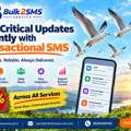 Send Critical Updates Instantly With Transactional SMS Service
