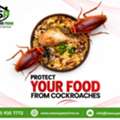 ✅✅COCKROACHES IN YOUR KITCHEN? COCKROACH CONTROL KHOBAR–055 935 7772✅✅