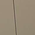 SAR 650,  Zebra Thailand Stainless Steel (SUS 304) - 5 Pcs