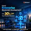 Need Enterprise Blockchain Development? Get 30% OFF Your Custom Solution