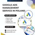 Google Ads Management Service In Poland