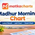 Play Madhur Day Satta Matka Games & Market Results Online In Maharashtra