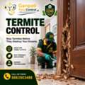 No.1 Termite Control Company In Patna
