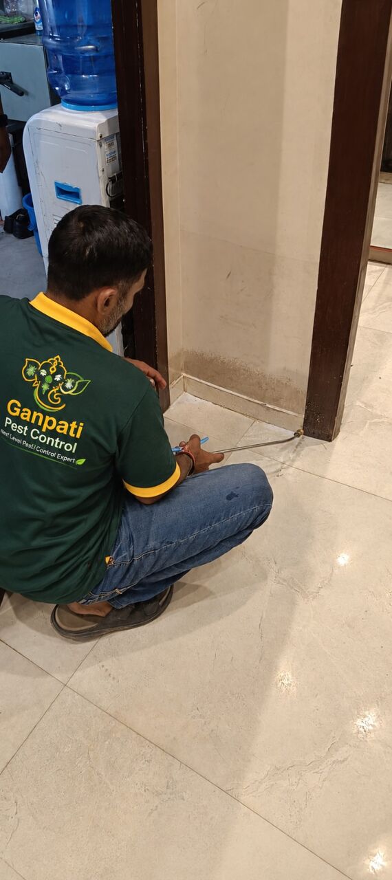 Mumbai, Pest Control, No.1 Termite Control Company In Patna