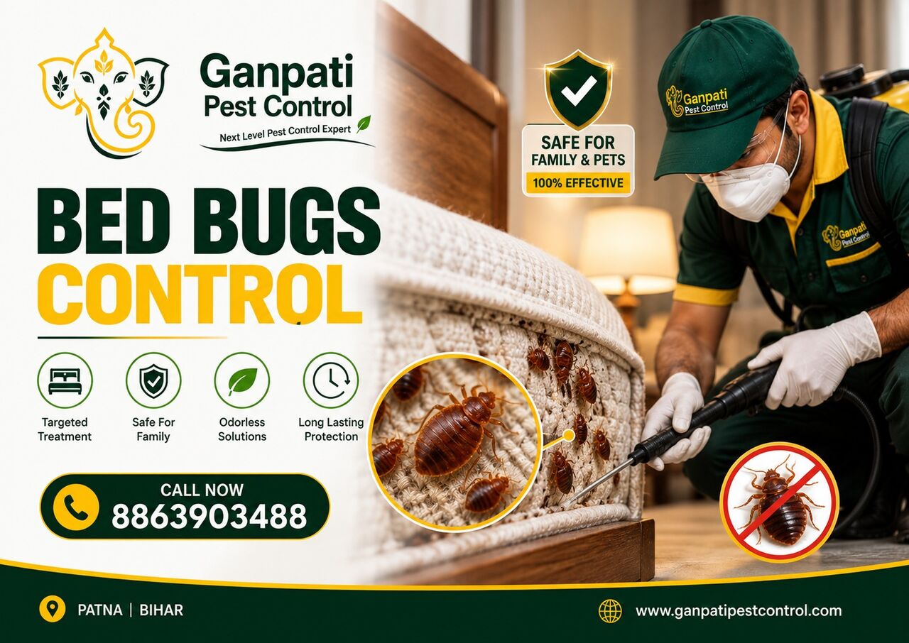 Mumbai, Pest Control, No.1 Termite Control Company In Patna