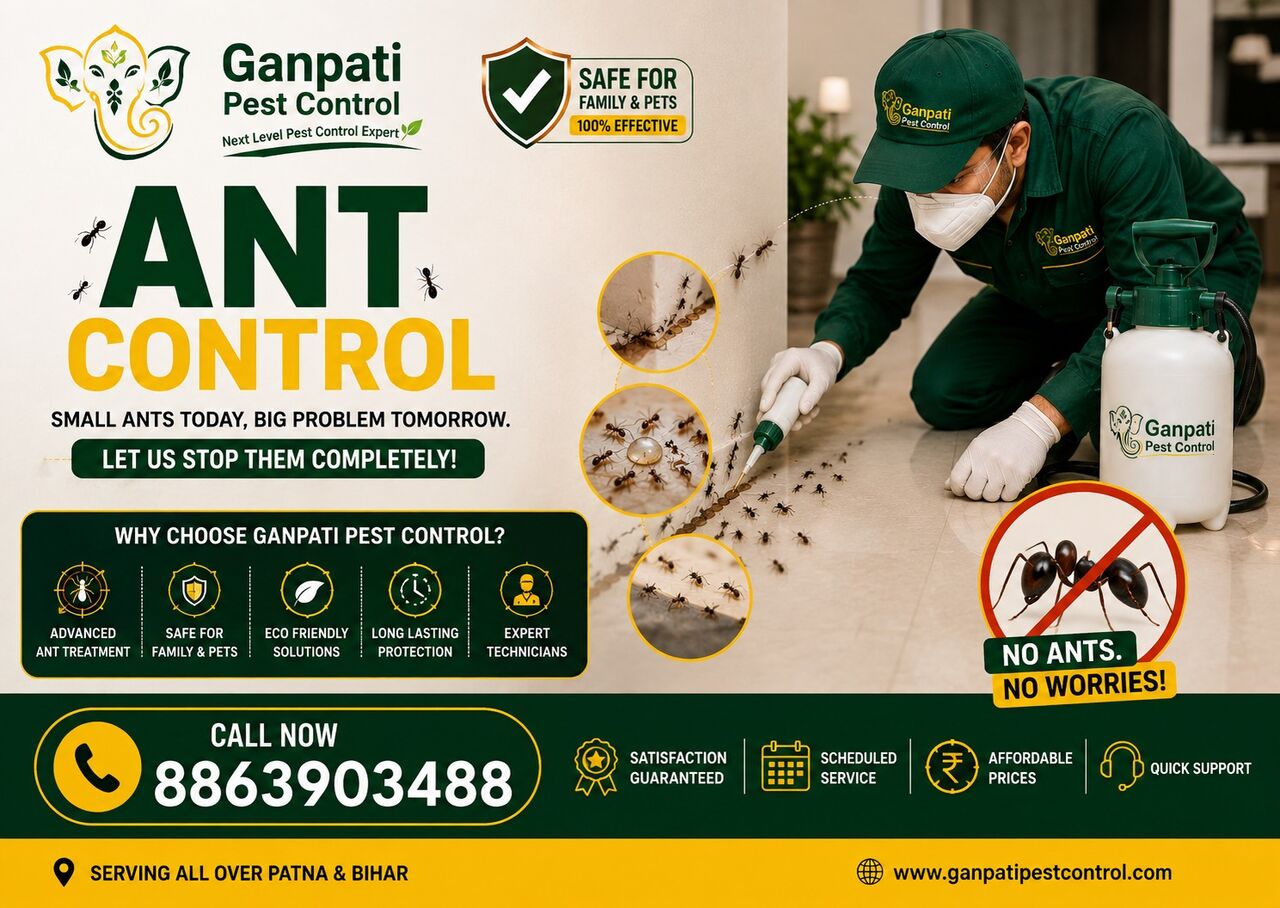 Mumbai, Pest Control, No.1 Termite Control Company In Patna