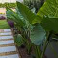 Landscaping Services For Beautiful, Practical, And Enjoyable Outdoor Spaces