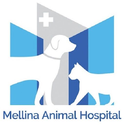 New York, Health, Mellina Animal Hospital