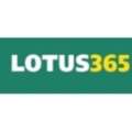 Lotus 365 Betting &ndash; Online Cricket & Sports Platform