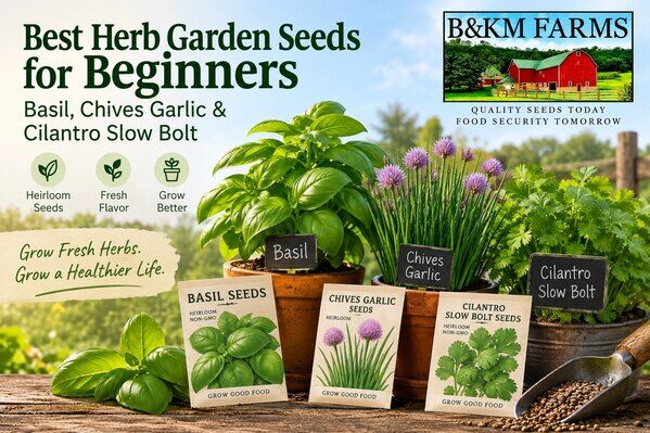 New York, Business, Best Herb Garden Seeds For Beginners | Basil, Chives & Cilantro &ndash; B&KM Farms