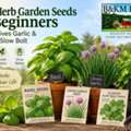 Best Herb Garden Seeds For Beginners | Basil, Chives & Cilantro &ndash; B&KM Farms
