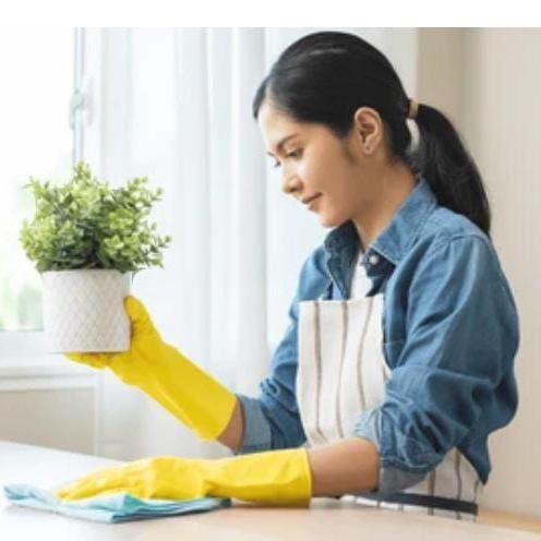 Al Shifa, Job Seekers, For Cleaners, Baby Sitters And Caregiver We Are Here To Serve You Whole Heartedly