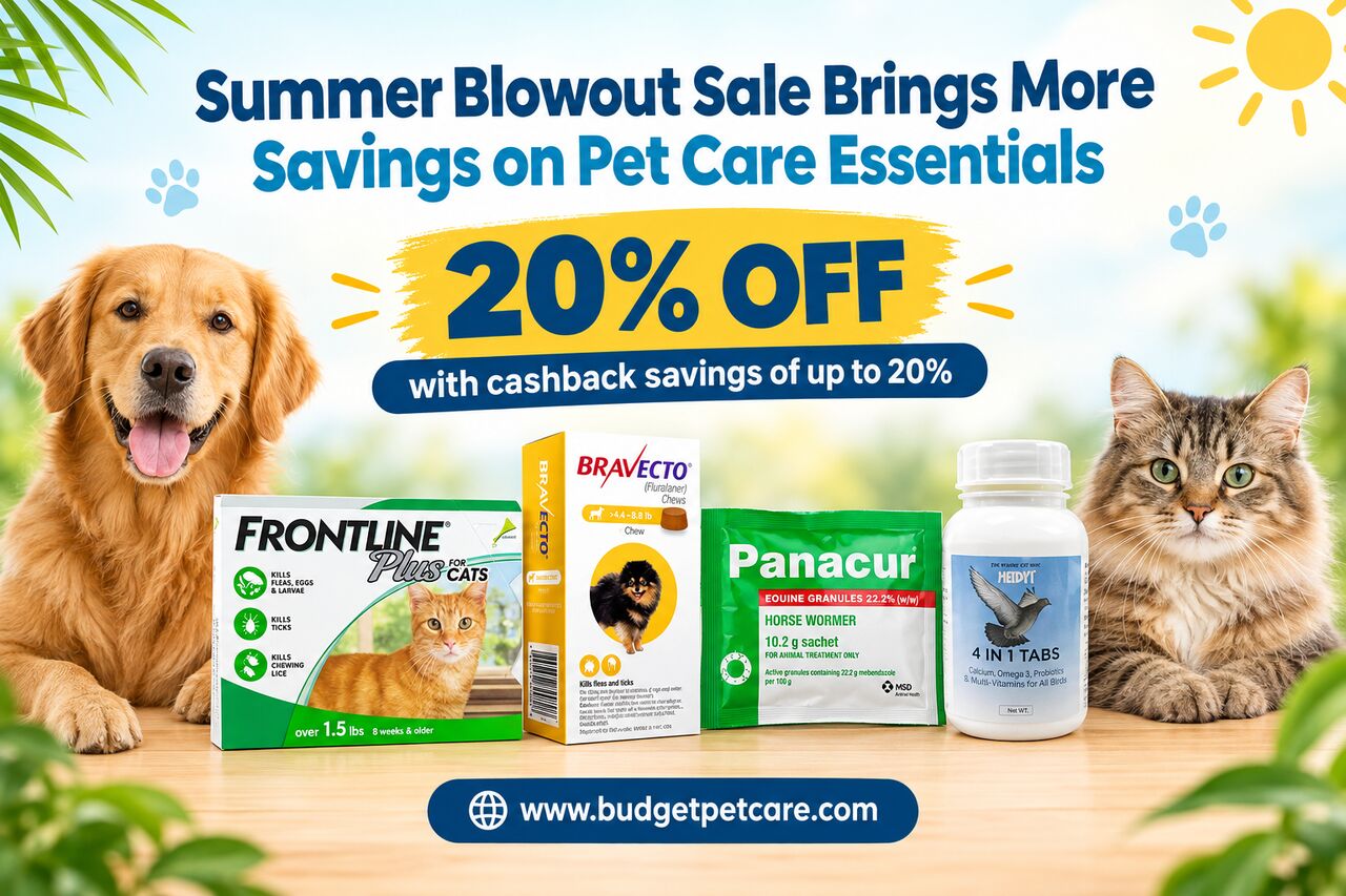 New York, Pet Supplies, Summer Blowout Sale Brings More Savings On Pet Care Essentials