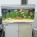 BHD 40,  Big Aquarium For Sale