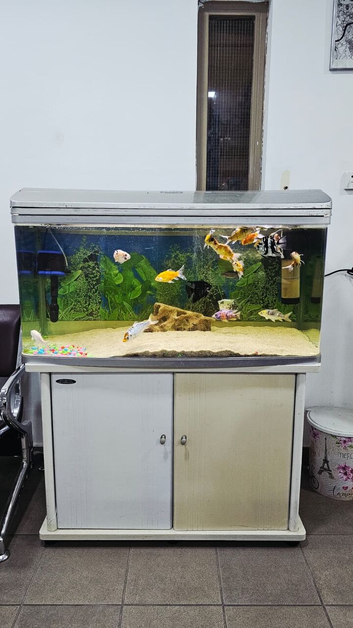 Manama, Pet Supplies, BHD 40,  Big Aquarium For Sale